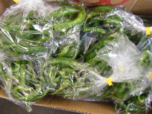2009/07/18 ���T�̔����ł�_44