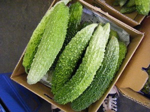 2009/07/18 ���T�̔����ł�_45