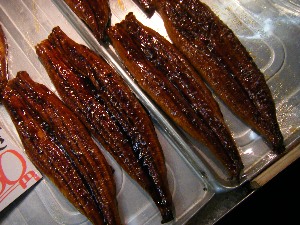 2009/07/18 ���T�̔����ł�_48