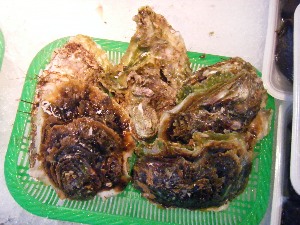 2009/07/18 ���T�̔����ł�_51