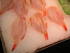 2009/07/18 ���T�̔����ł�_53