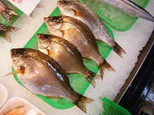 2009/07/18 ���T�̔����ł�_56