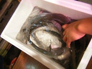 20090718 -�V�̎����� 1-_2