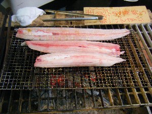 20090718 -�V�̎����� 1-_31
