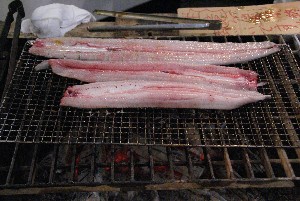 20090718 -�V�̎����� 2-_25