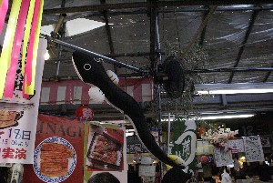20090718 -�V�̎����� 2-_34