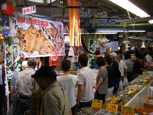 2009/07/19 �V�̎�����_9