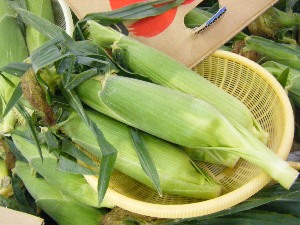 2009/07/25 ���T�̔����ł�_4