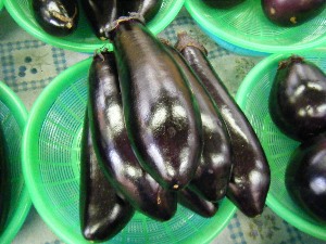 2009/07/25 ���T�̔����ł�_7