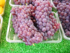 2009/07/25 ���T�̔����ł�_10