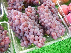 2009/07/25 ���T�̔����ł�_11
