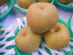 2009/07/25 ���T�̔����ł�_18