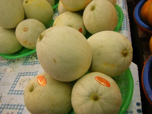 2009/07/25 ���T�̔����ł�_19