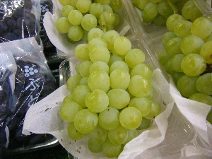 2009/07/25 ���T�̔����ł�_20