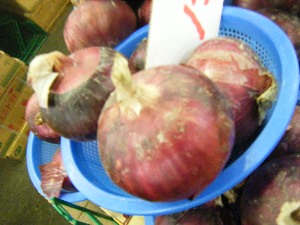 2009/07/25 ���T�̔����ł�_21