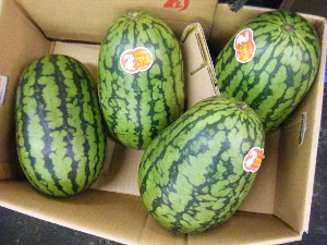 2009/07/25 ���T�̔����ł�_22