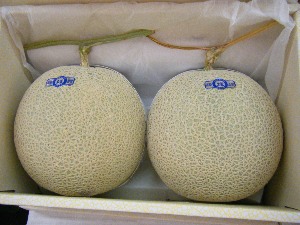 2009/07/25 ���T�̔����ł�_23