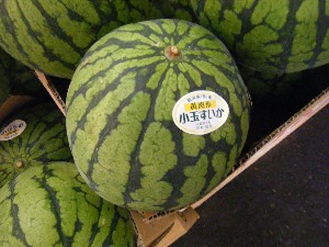 2009/07/25 ���T�̔����ł�_28