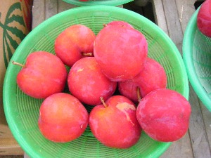 2009/07/25 ���T�̔����ł�_30