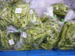 2009/07/25 ���T�̔����ł�_35