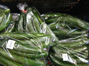 2009/07/25 ���T�̔����ł�_36