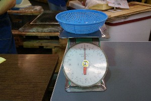 2009/07/25 �������d�ʓ��Ď���_1