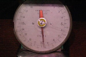 2009/07/25 �������d�ʓ��Ď���_29