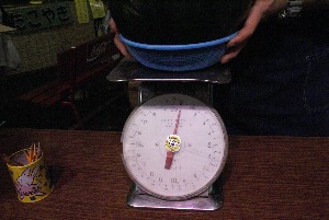 2009/07/25 �������d�ʓ��Ď���_30