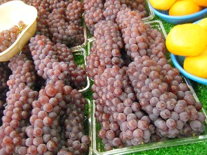 2009/08/01 ���T�̔����ł�_4