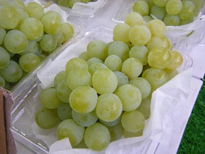 2009/08/01 ���T�̔����ł�_15