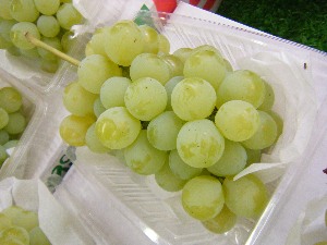2009/08/01 ���T�̔����ł�_16
