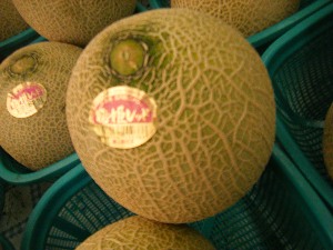 2009/08/01 ���T�̔����ł�_17