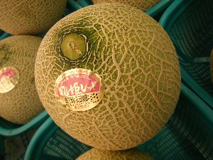 2009/08/01 ���T�̔����ł�_18