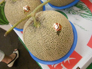 2009/08/01 ���T�̔����ł�_19
