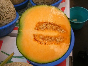 2009/08/01 ���T�̔����ł�_20