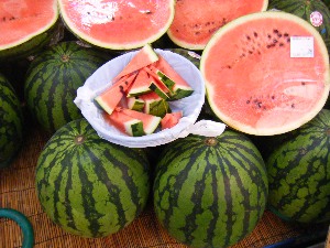 2009/08/01 ���T�̔����ł�_21