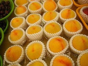 2009/08/01 ���T�̔����ł�_25