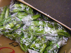 2009/08/01 ���T�̔����ł�_31