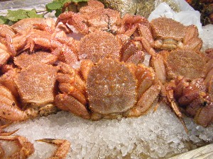 2009/08/01 ���T�̔����ł�_45
