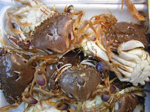 2009/08/01 ���T�̔����ł�_51