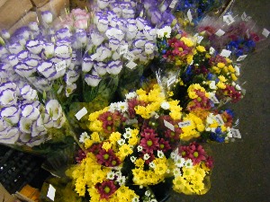 2009/08/01 ���T�̔����ł�_56