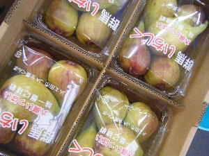 2009/08/08 ���T�̔����ł�_16