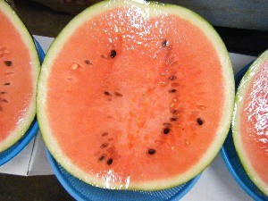 2009/08/08 ���T�̔����ł�_26