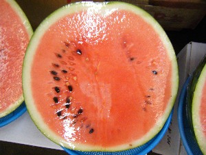 2009/08/08 ���T�̔����ł�_27