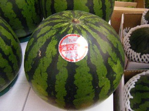 2009/08/08 ���T�̔����ł�_28