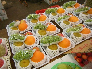 2009/08/08 ���T�̔����ł�_37
