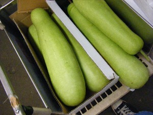 2009/08/08 ���T�̔����ł�_40