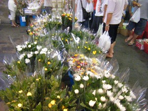 20090813 -���T�̔����ł�-_21