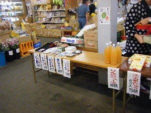 20090823 -�i�q���c�A�[-_1