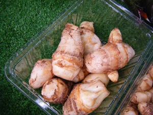 2009/08/29 -���T�̔����ł�-_6